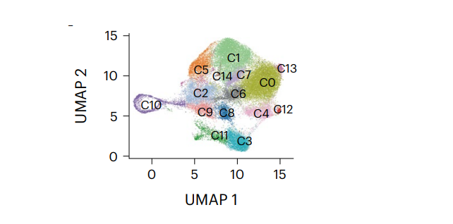 Heterogeneous plasma cells and long-lived subsets in response to immunization, autoantigen and microbiota.png