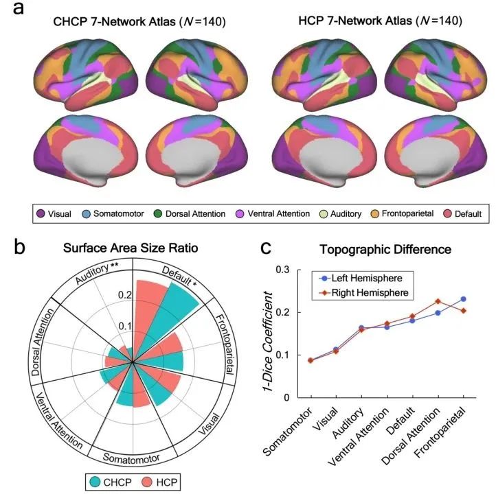 Increasing diversity in connectomics with the Chinese Human Connectome Project.jpg
