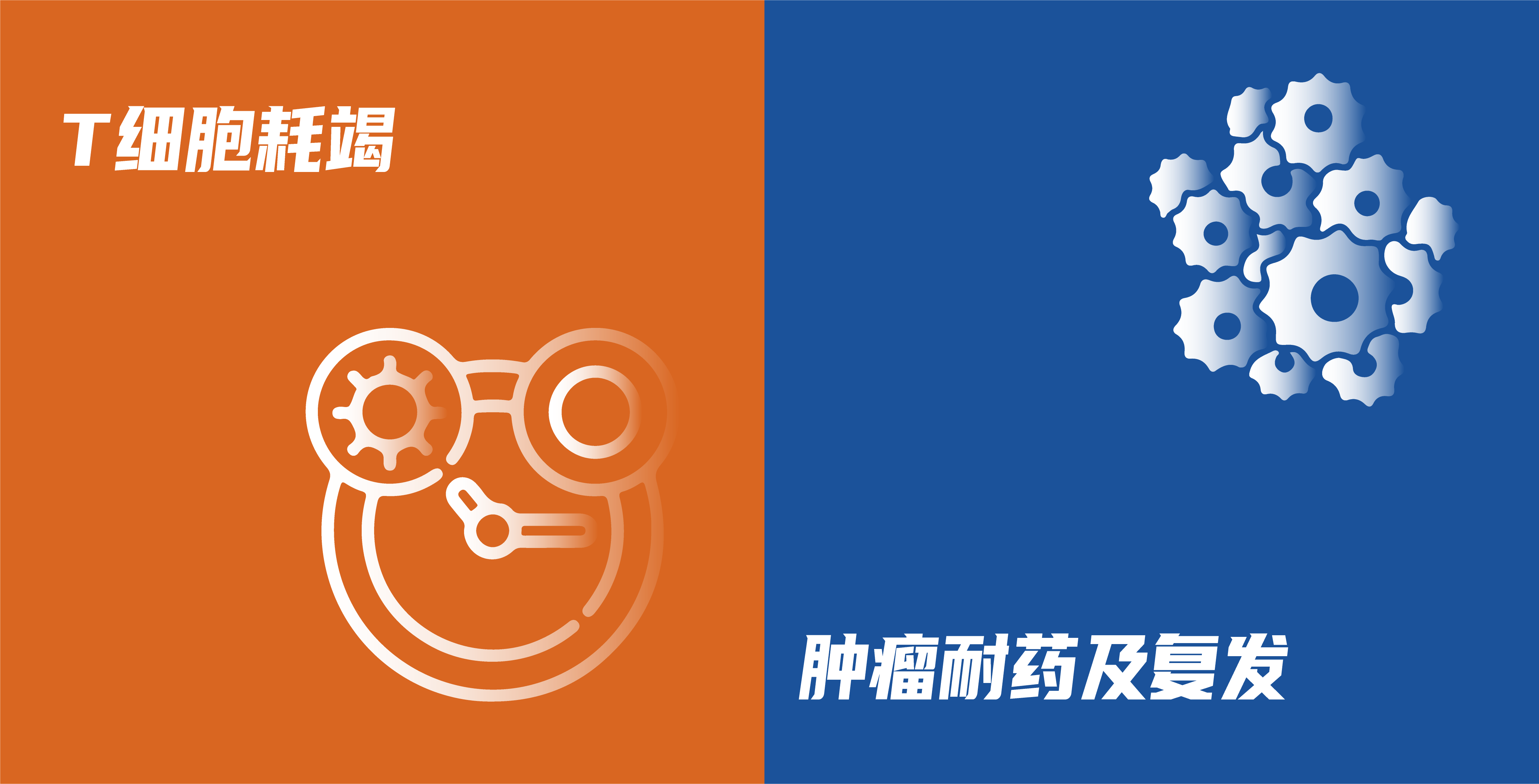 资源 28@1200x.png