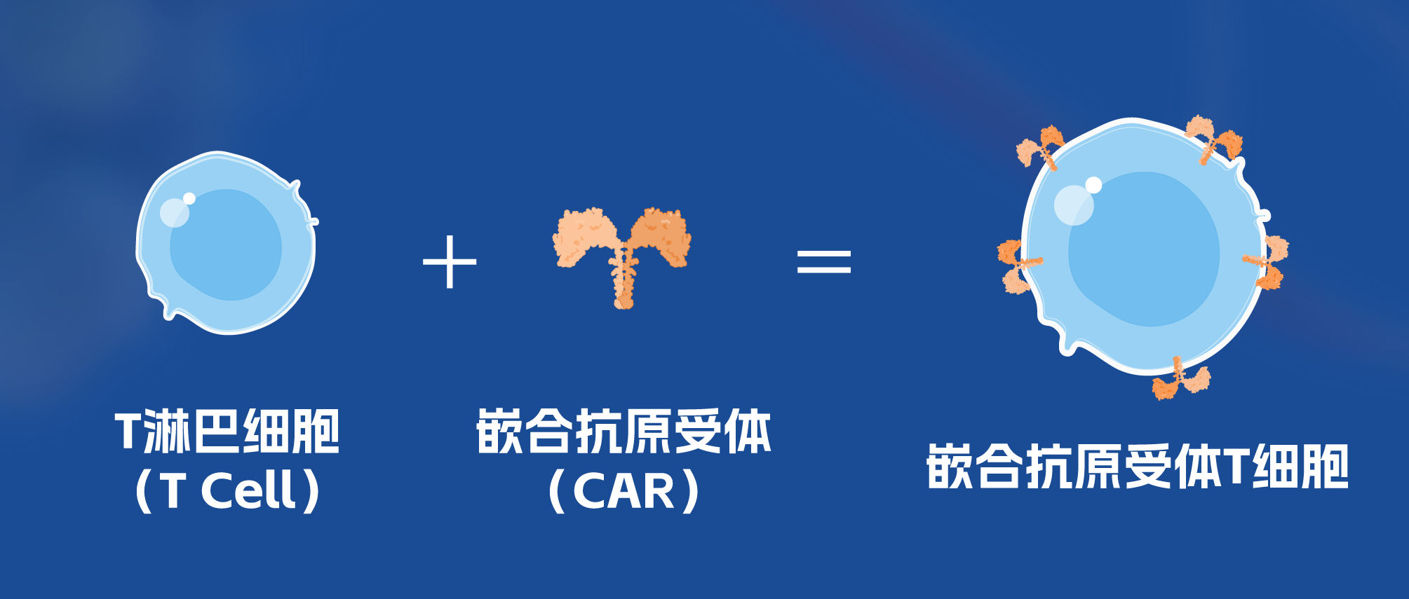 cart_画板 1.png