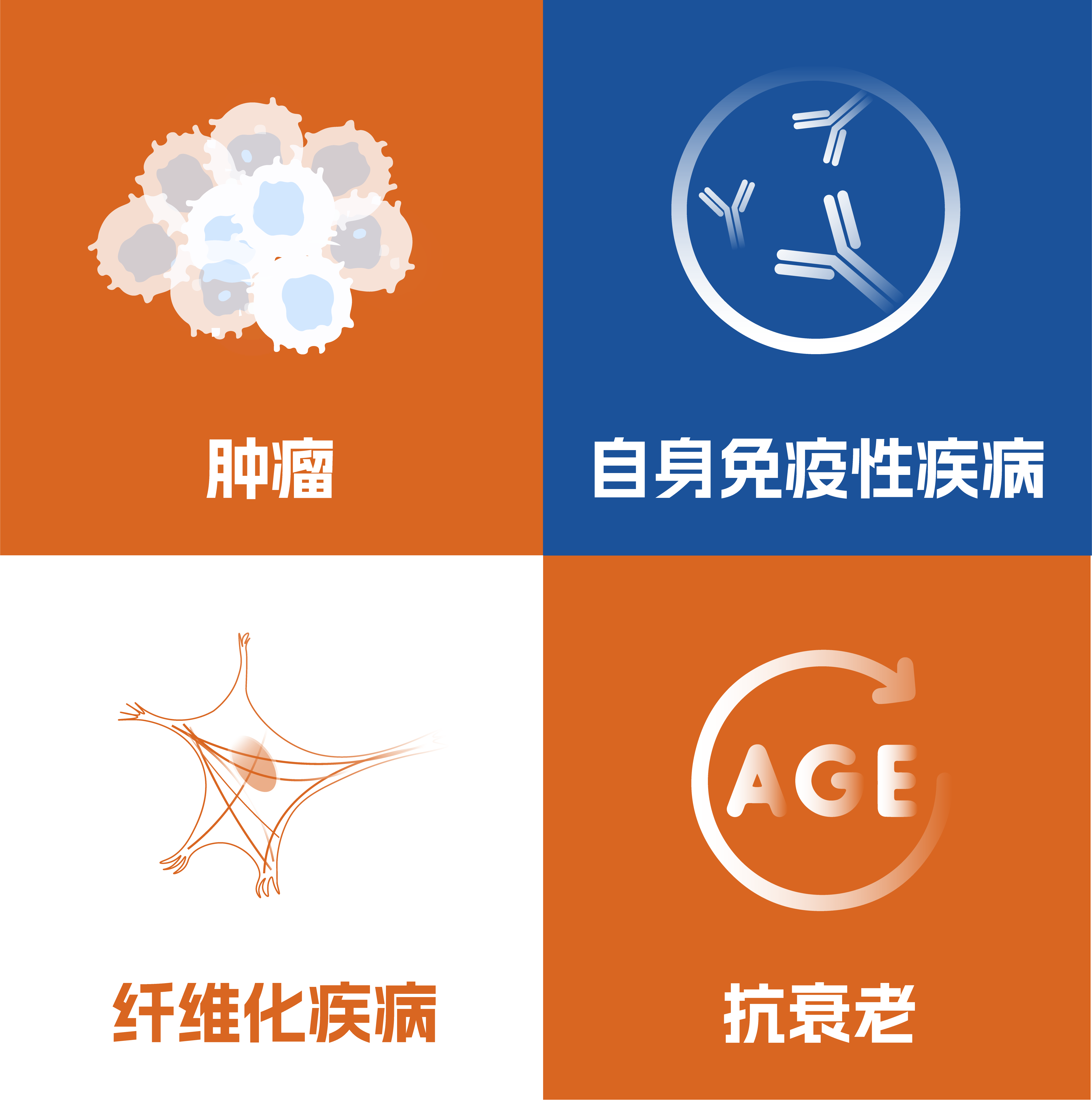 资源 1@1200x.png