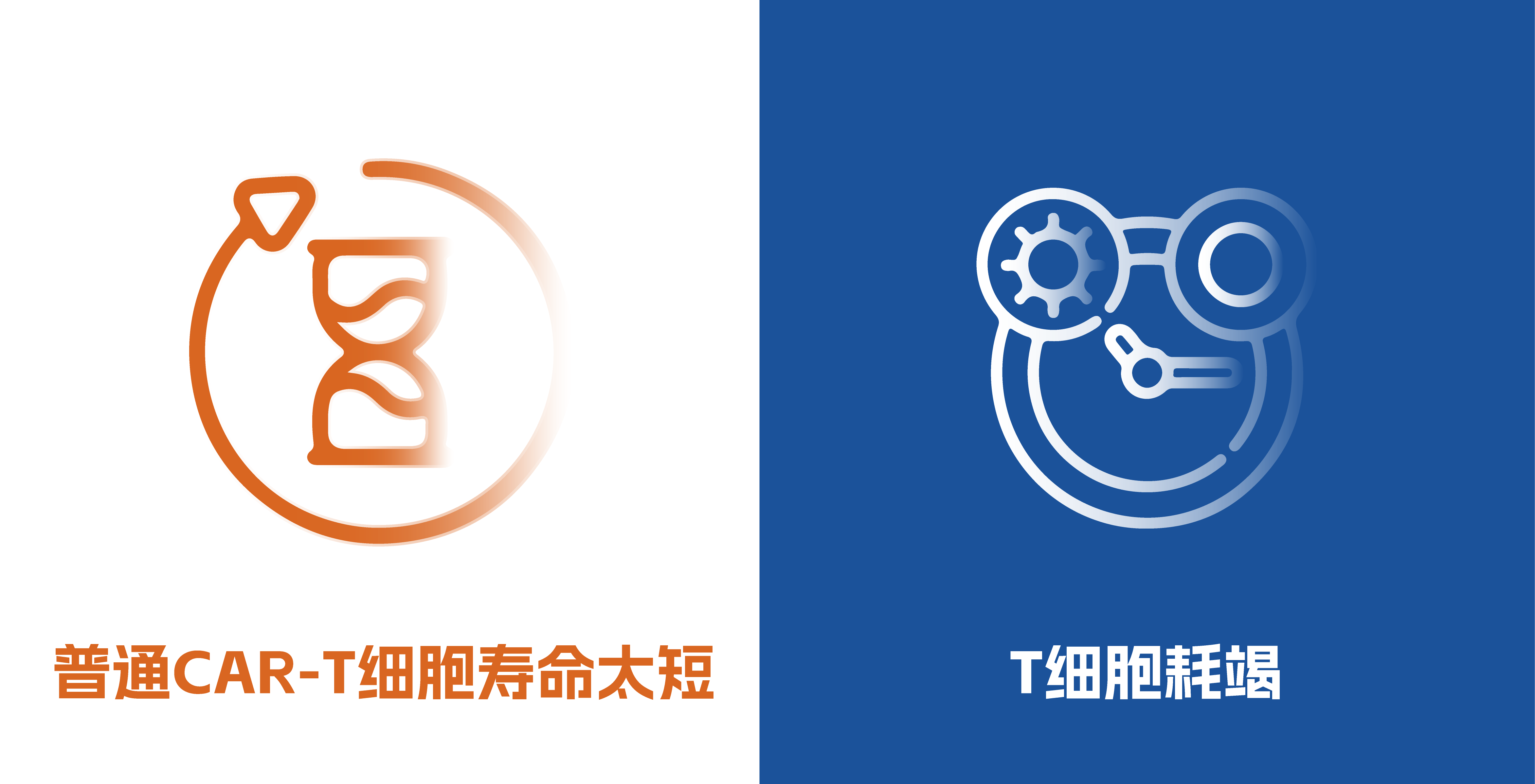 资源 3@1200x.png
